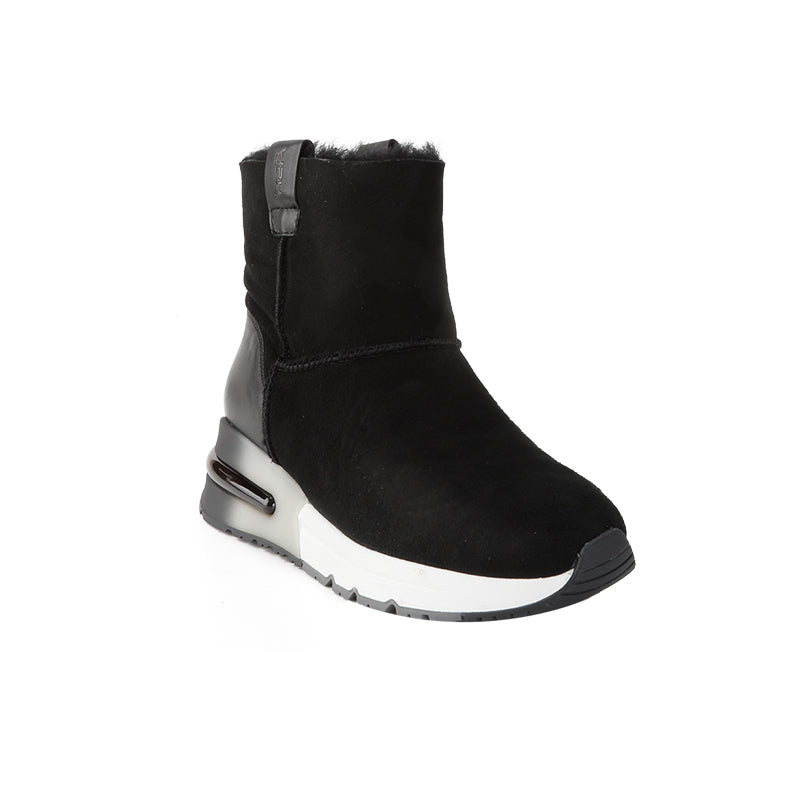 ASH WOMEN Boots Black Sneakers Shoes A17263