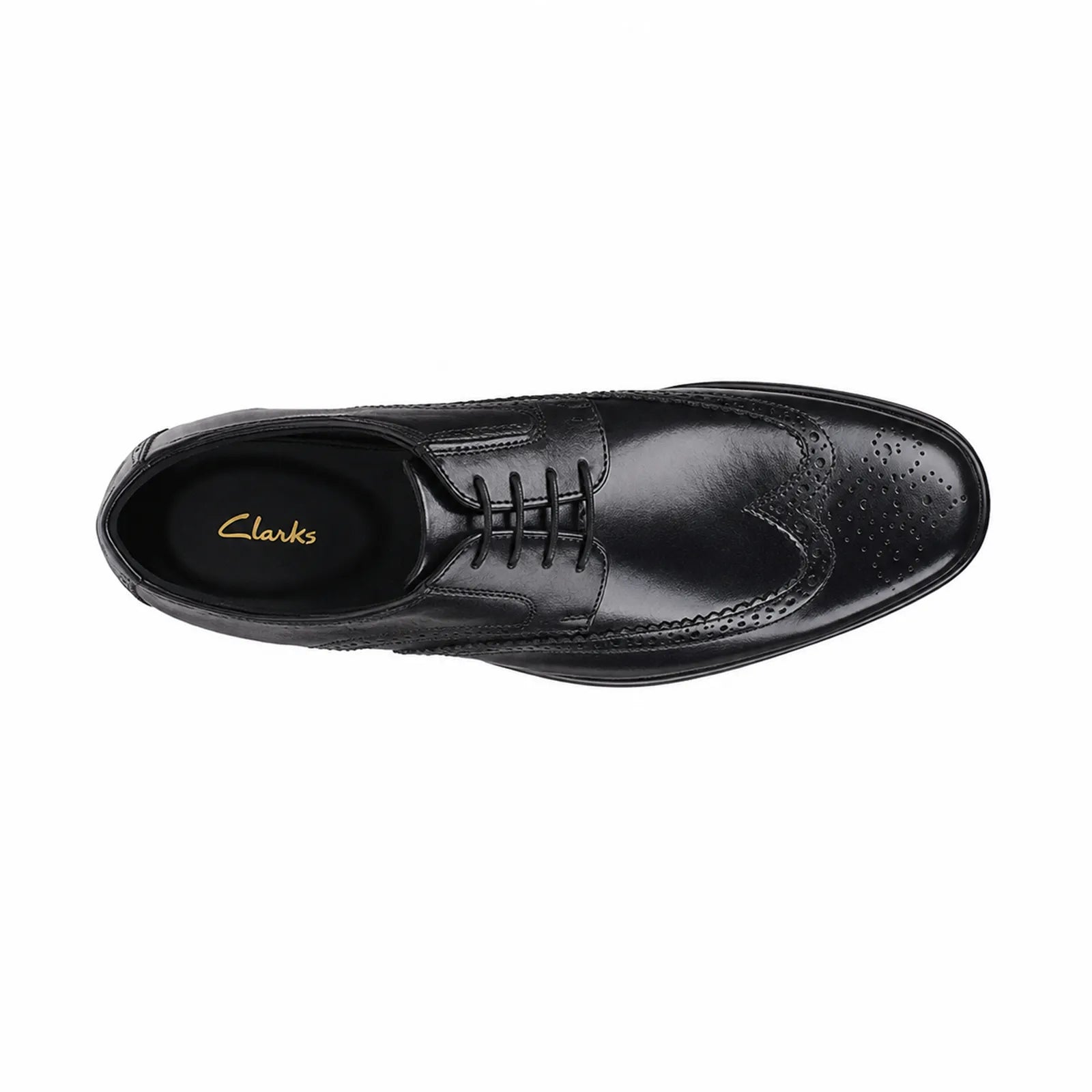 Black leather derby shoe side view with wingtip brogue and lace-up closure