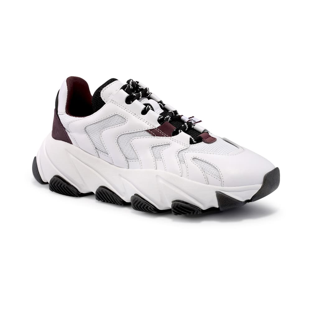 Ash Extreme White Leather & Bordeaux Mesh - 121 Shoes