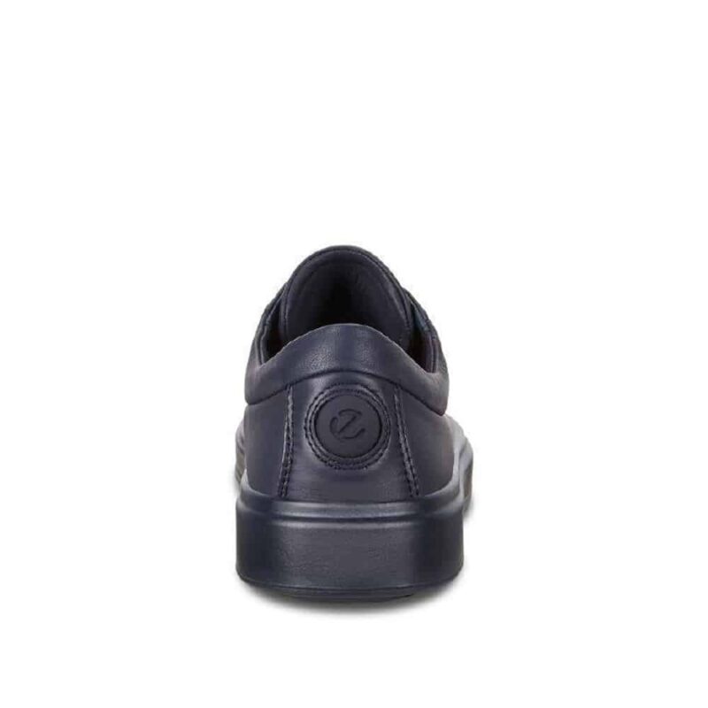 Ecco Flexure T-Cap M Night Sky Cirrus. Premium shoes