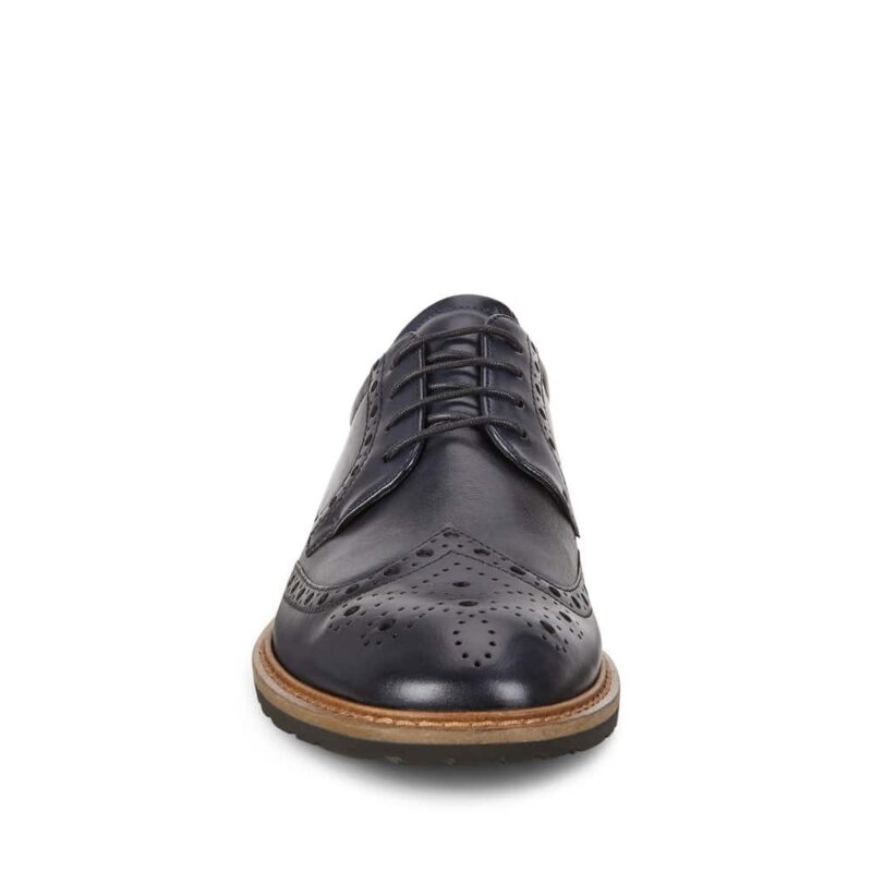 Ecco Vitrus I. Premium leather men's shoes.
