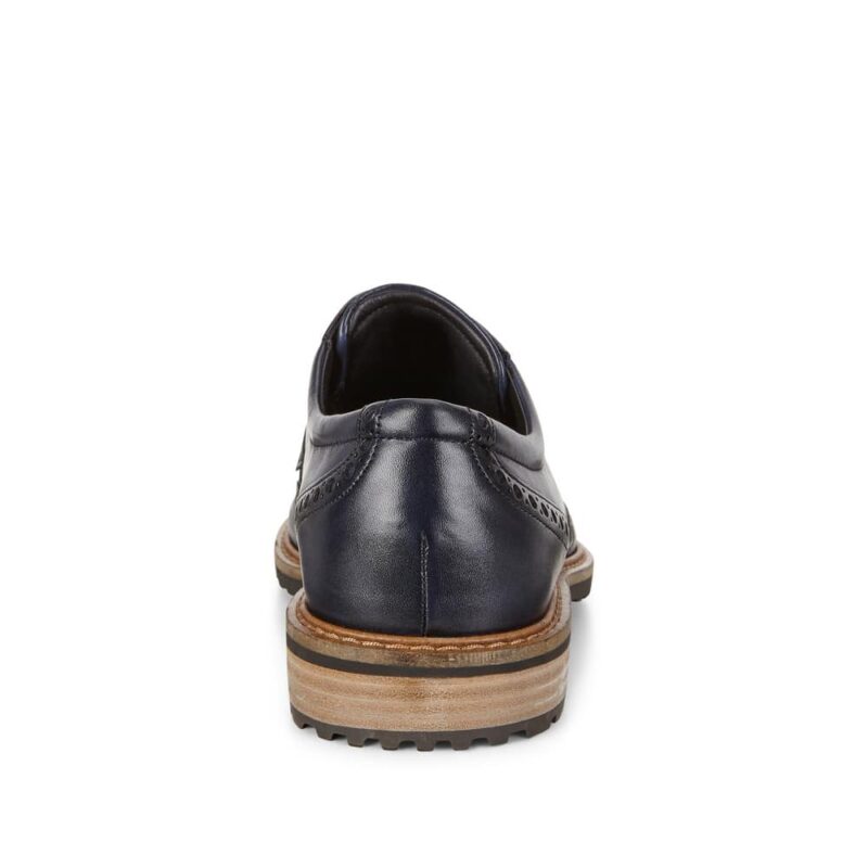 Ecco Vitrus I. Premium leather men's shoes.