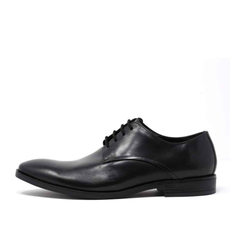 Clarks Stanford Walk. Premium Leather Shoes