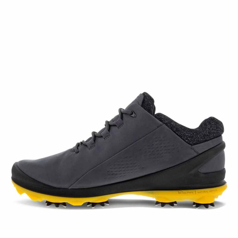 ECCO Men's Biom G3 Cleated Golf Shoes