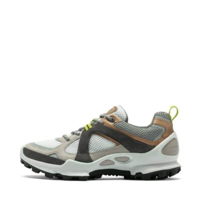 Ecco Biom C-Trail W