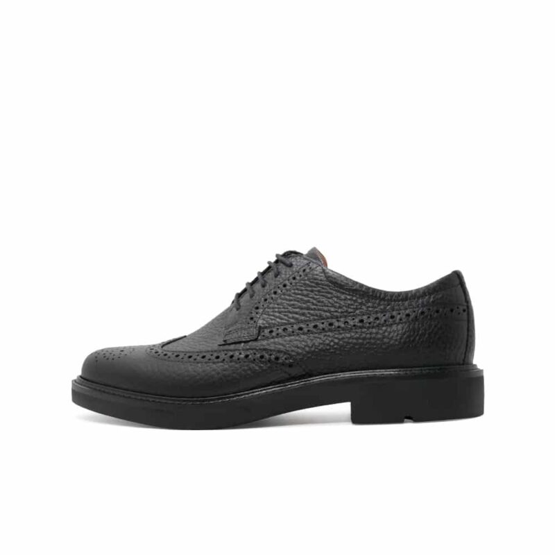 ecco shoes for Men